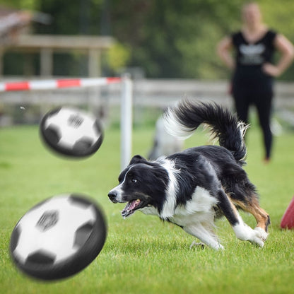 Barks™ Fußballscheibe