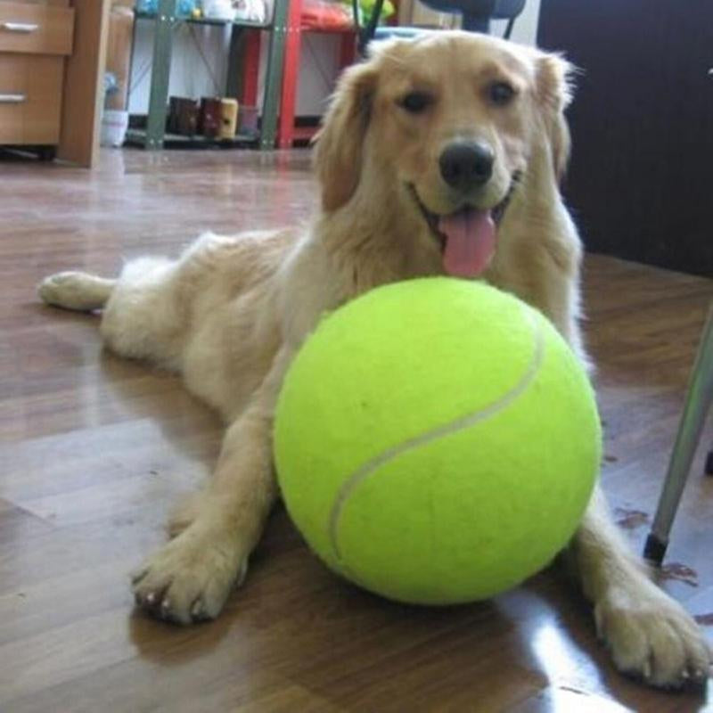 FurBaby™ Large Tennis Ball For Dogs