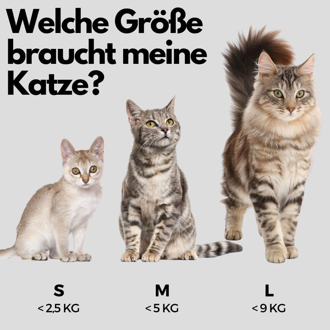 PetMo™ Katzengeschirr